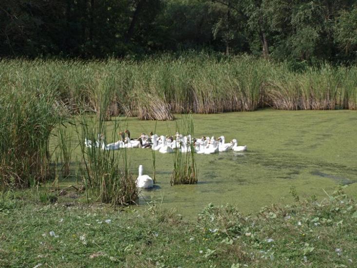 Балаклія з panoramio.com - Балаклія