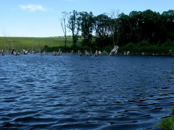 Стрілеча з panoramio.com - Стрілеча