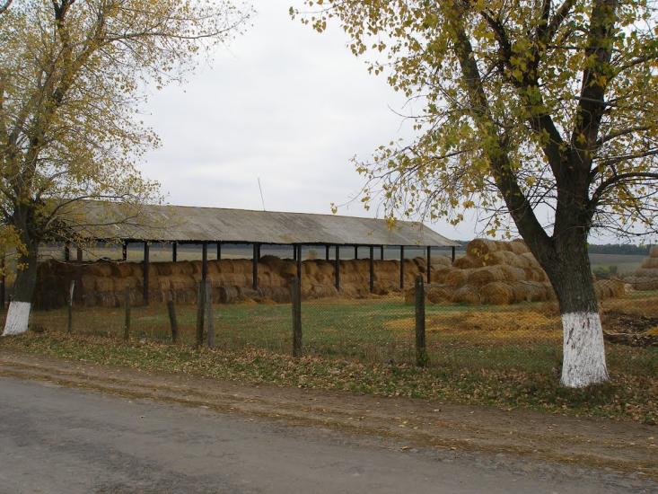 Ярмолинці з panoramio.com - Ярмолинці