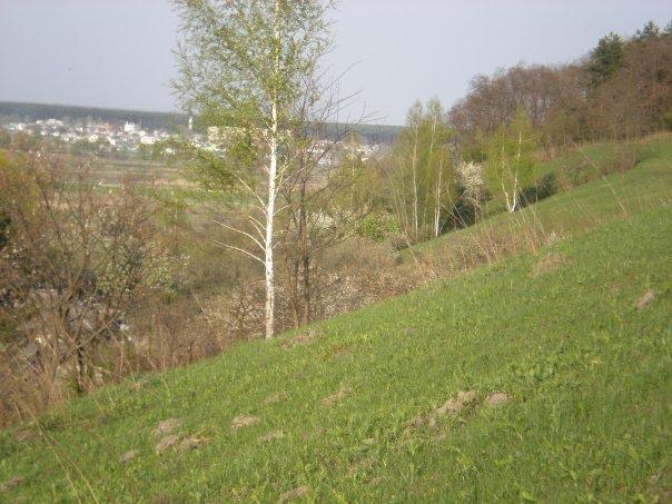 Гусина Поляна з panoramio.com - Гусина Поляна