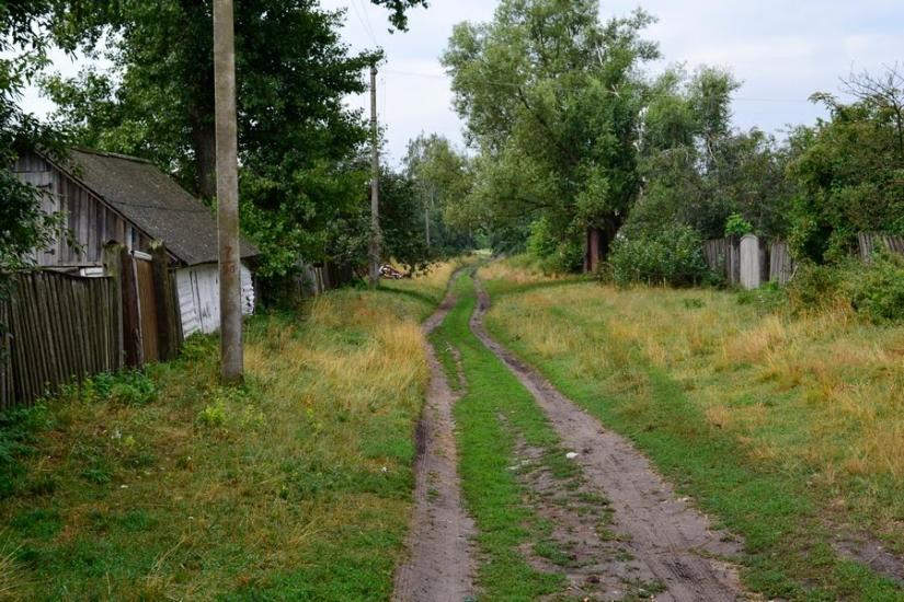 Литвиновичі з panoramio.com - Литвиновичи