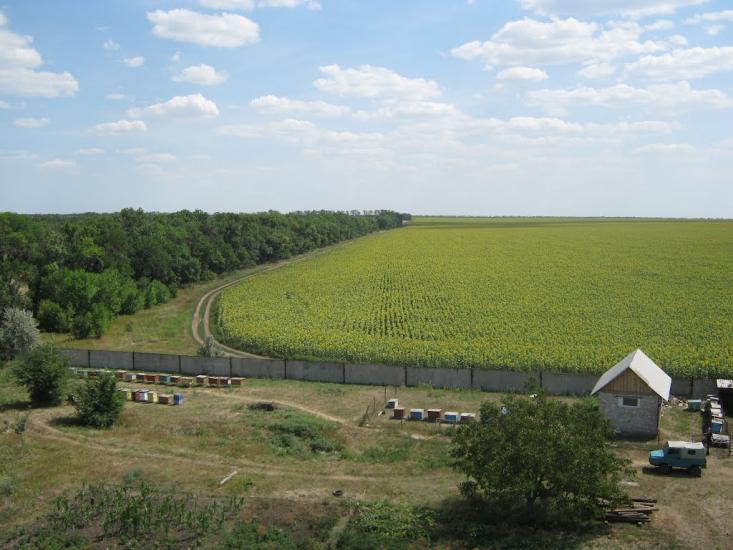 Ізлучисте з panoramio.com - Излучистое