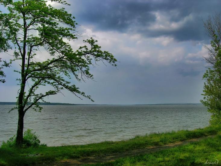 Зелений Гай з panoramio.com - Зеленый Гай