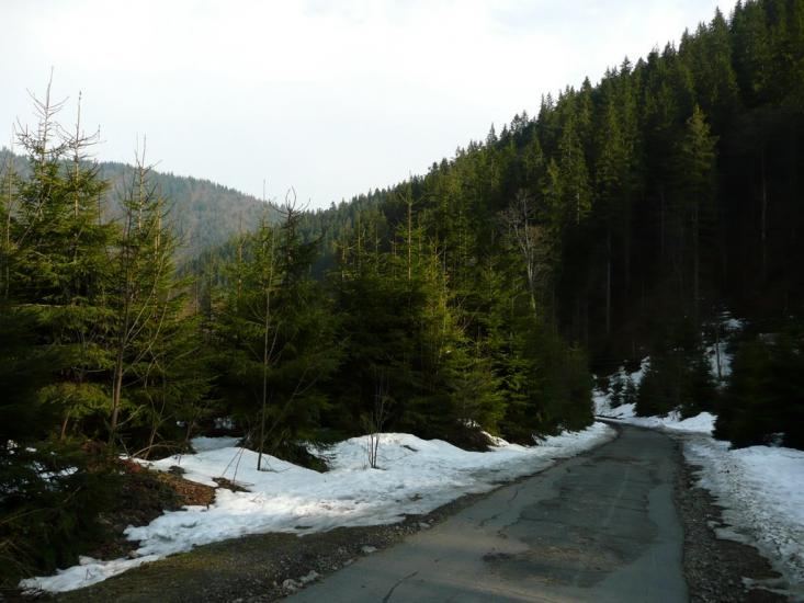 Синевир з panoramio.com - Синевир