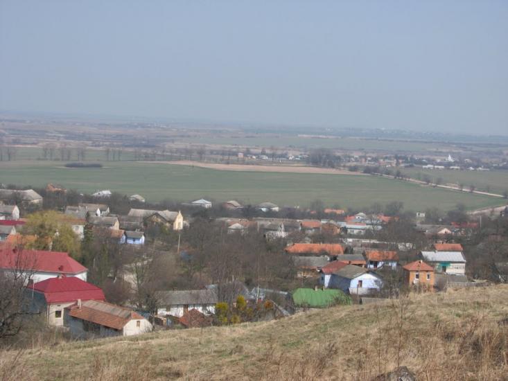 Гринів з panoramio.com - Gryniv