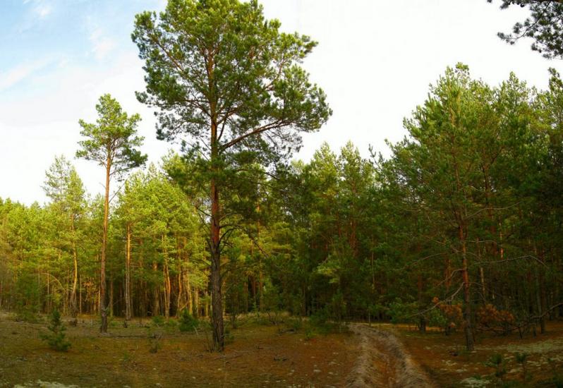 Тепениця з panoramio.com - Тепениця