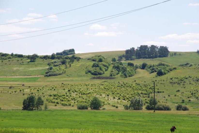 Стрілки з panoramio.com - Стрілки