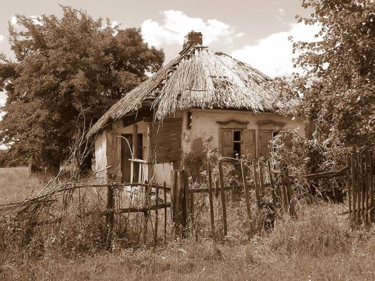 Новоселівка з panoramio.com - Новоселівка