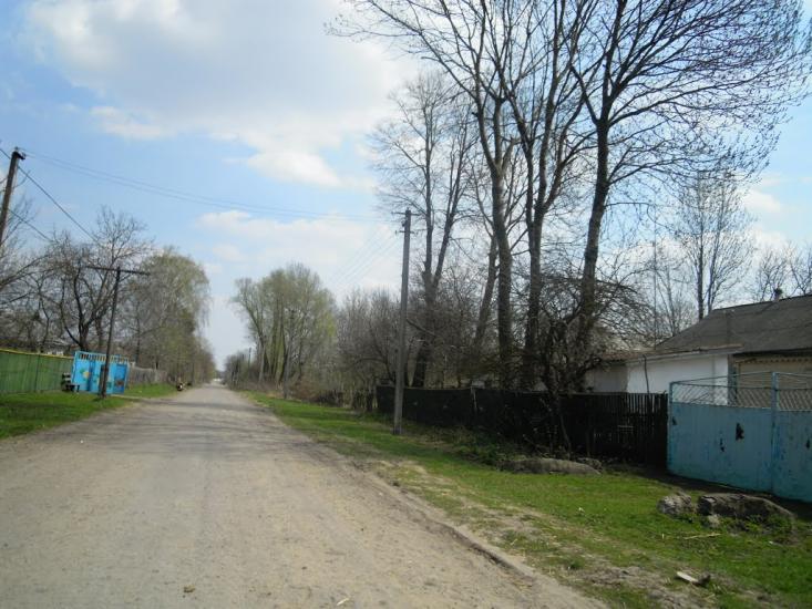 Сальниця з panoramio.com - Сальница
