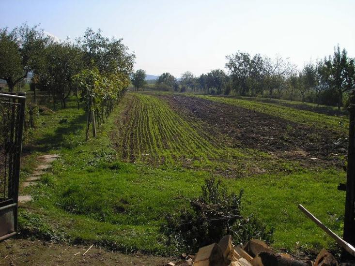 Гута з panoramio.com - Guta