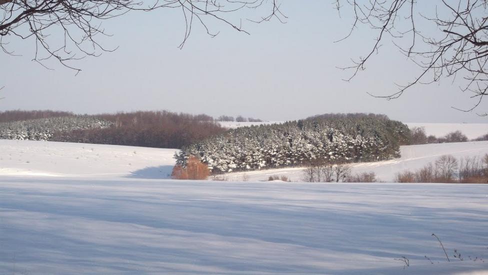Михайлівка з panoramio.com - Михайлівка