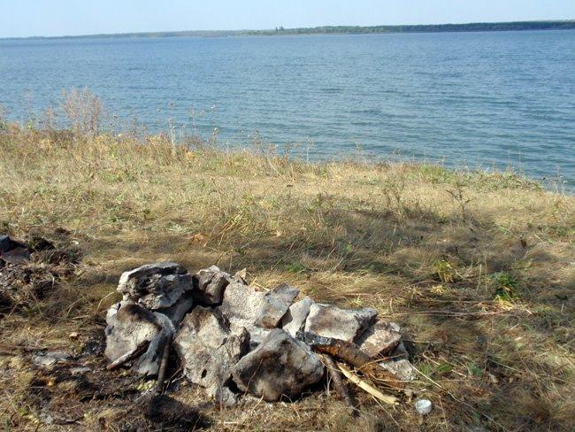 Зелений Гай з panoramio.com - Зеленый Гай