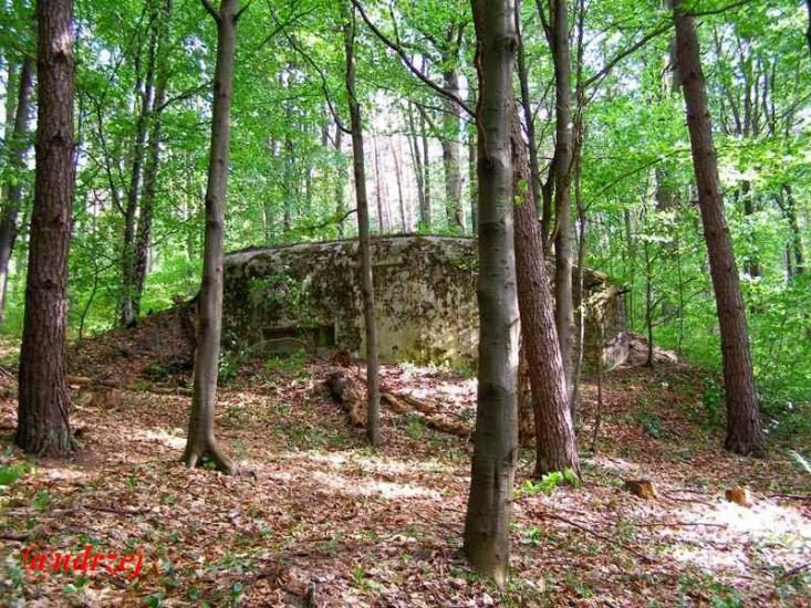 Дев'ятир з panoramio.com - Девятир