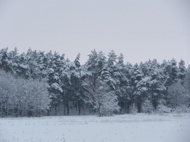 Лохвиця з panoramio.com - Лохвица