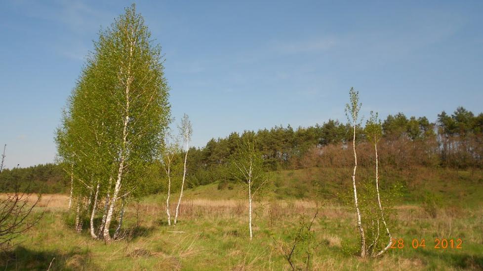 Білопілля з panoramio.com - Білопілля