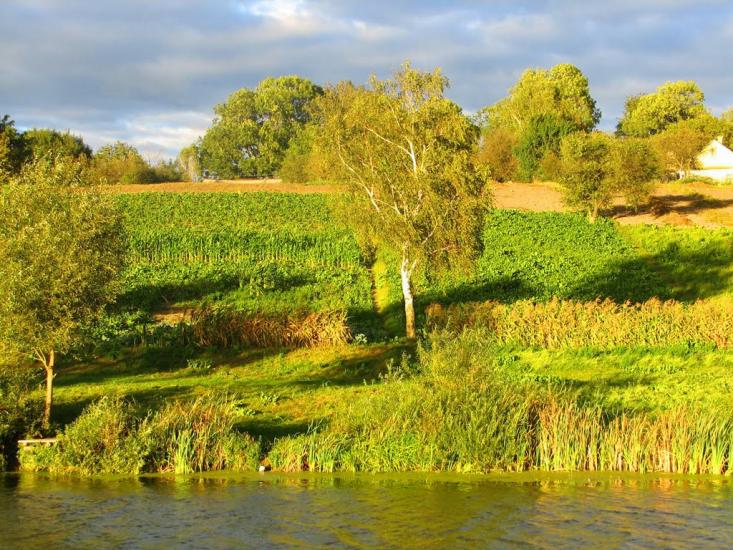 Воскодави з panoramio.com - Воскодавы