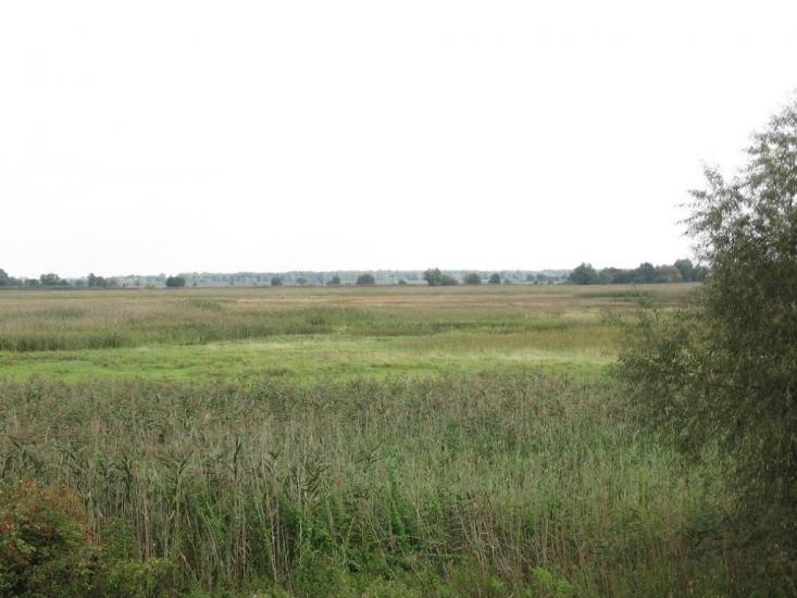 Старий Мохнач з panoramio.com - Старий Мохнач