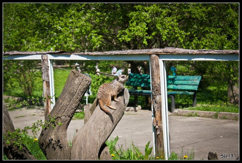 Колоденка з panoramio.com - Колоденка