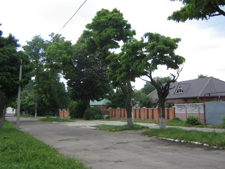 Орджонікідзе з panoramio.com - Орджоникидзе