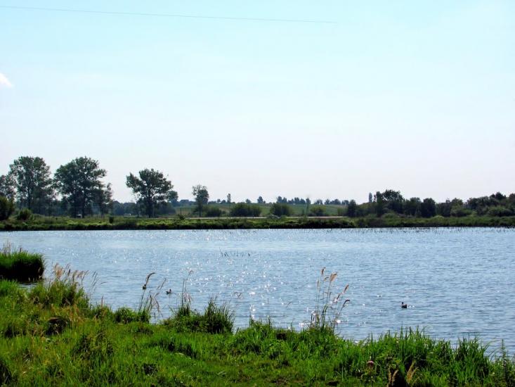 Кустин з panoramio.com - Кустин