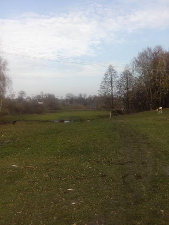Сальниця з panoramio.com - Сальница