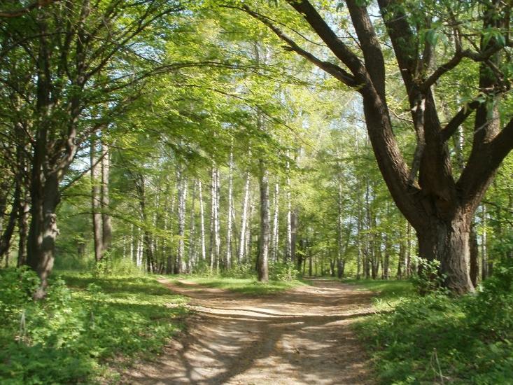 Четвертинівка з panoramio.com - Четвертиновка
