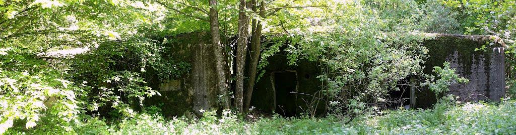 Велика Любаша з panoramio.com - Велика Любаша