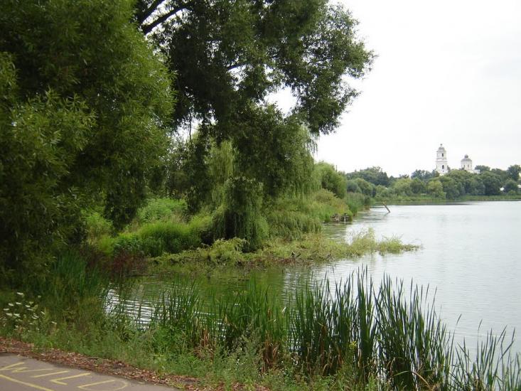 Вороніж з panoramio.com - Воронеж