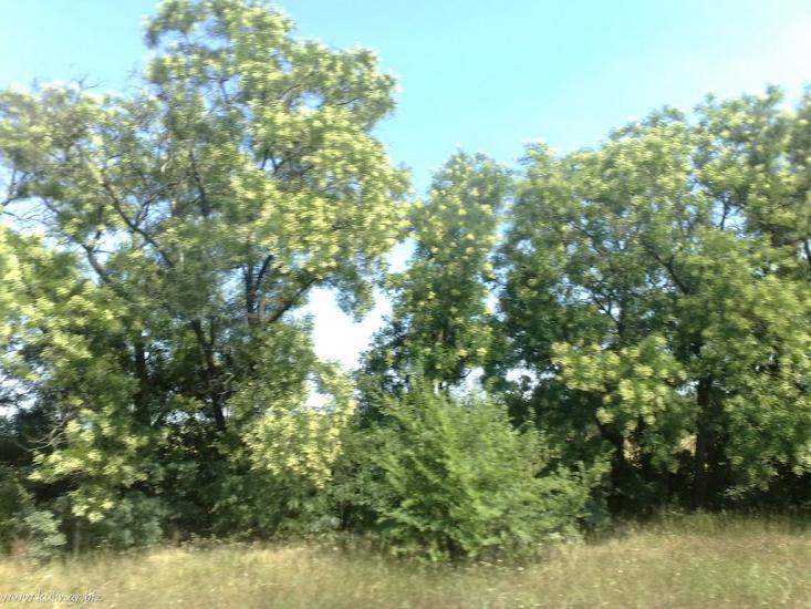 Верхня Криниця з panoramio.com - Верхня Криниця