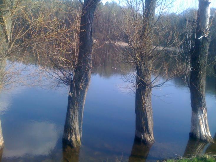 Млинище з panoramio.com - Млынище