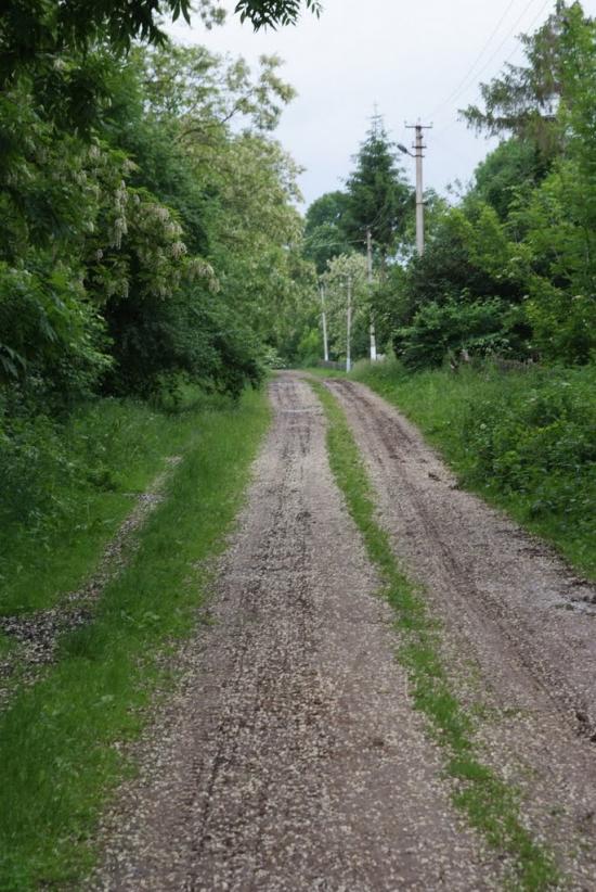 Слобідка-Шелехівська з panoramio.com - Слобідка-Шелехівська