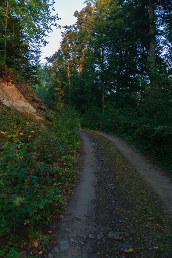 Костринська Розтока з panoramio.com - Костринська Розтока