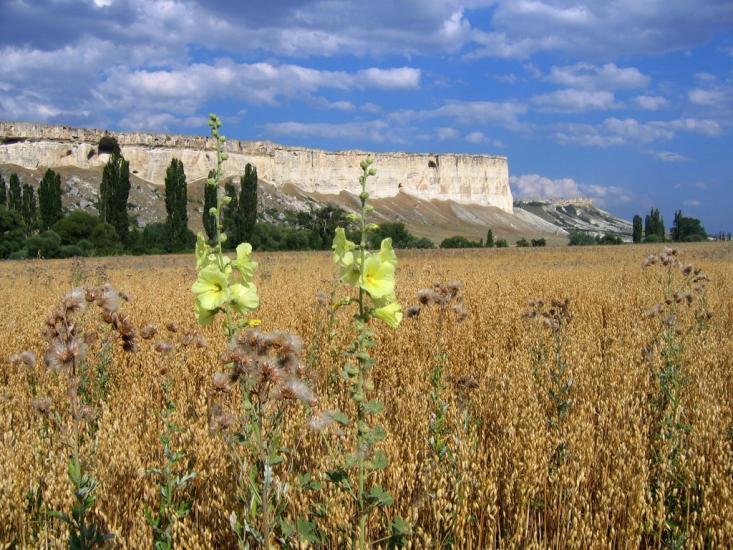 Біла Скеля з panoramio.com - Bila Skelya