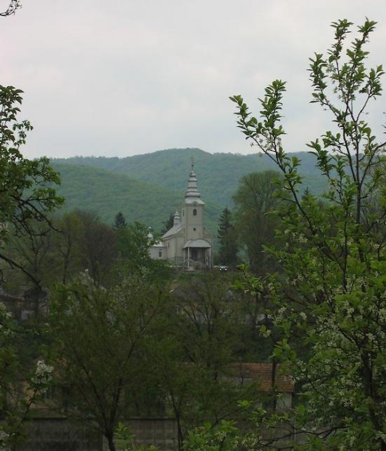 Поляна з panoramio.com - Поляна