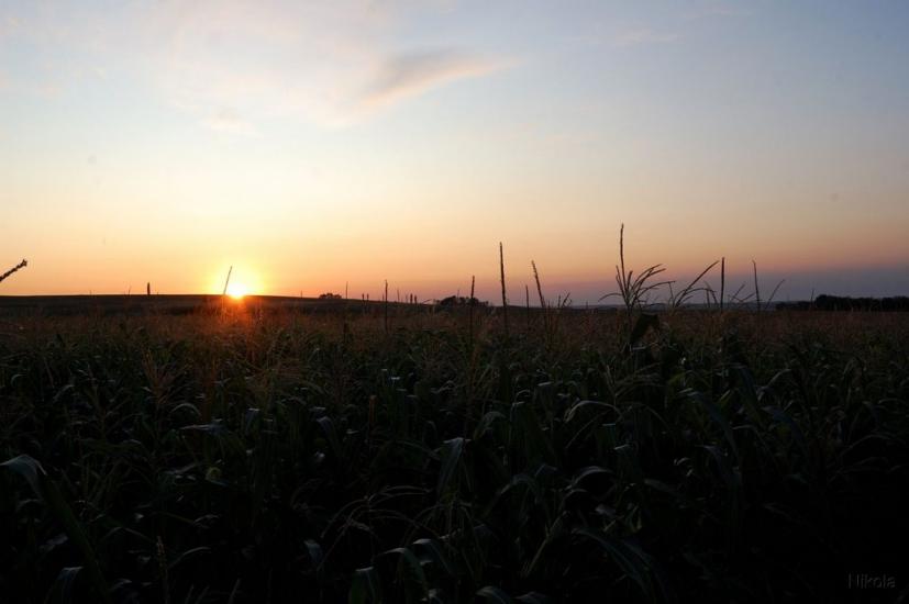 Колядівка з panoramio.com - Колядовка