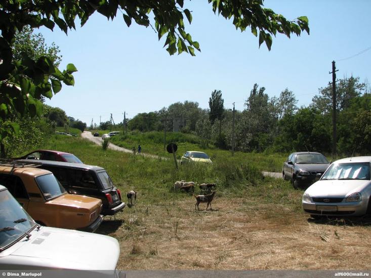 Юр'ївка з panoramio.com - Юрьевка