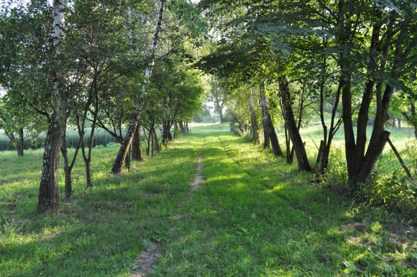 Заріцьк з panoramio.com - Зарецк