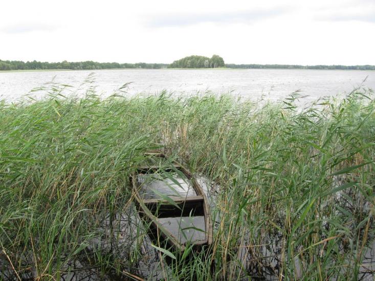 Мельники з panoramio.com - Мельники