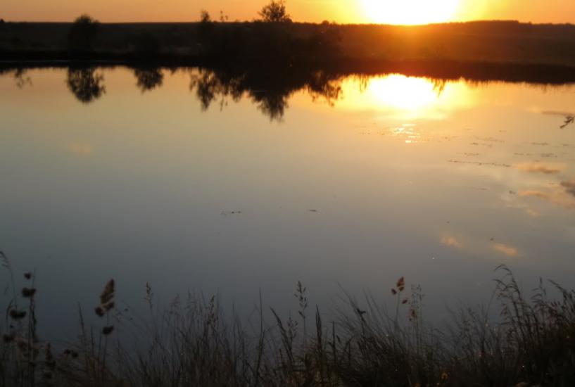Вільшаниця з panoramio.com - Ольшаница