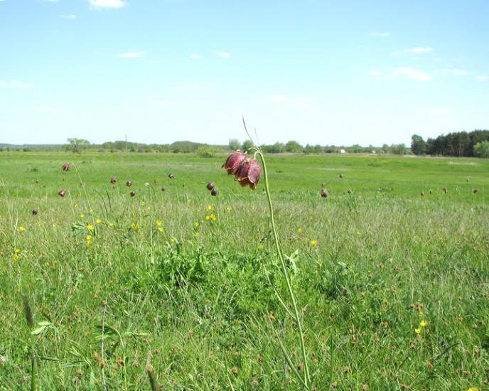 Балаклія з panoramio.com - Балаклія