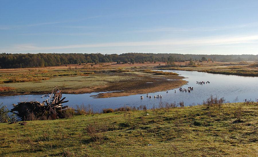 Угли з panoramio.com - Ugly