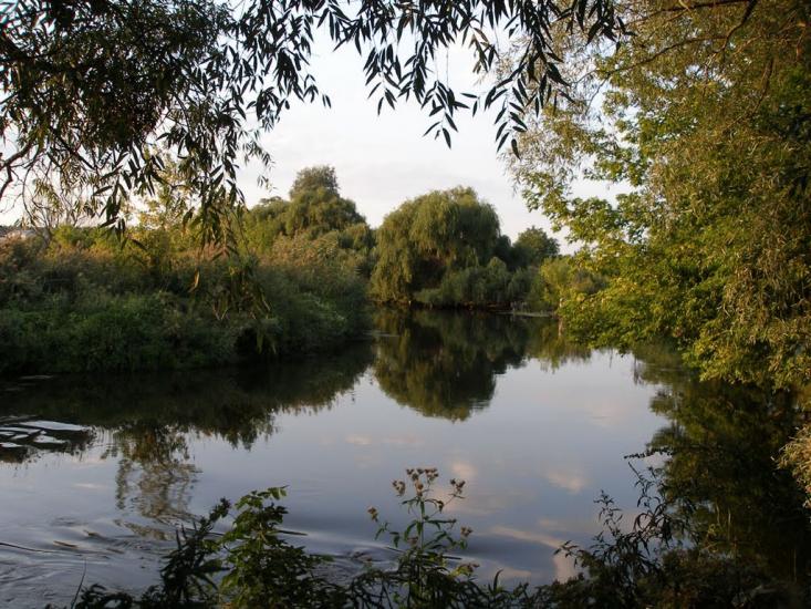 Васищеве з panoramio.com - Васищеве