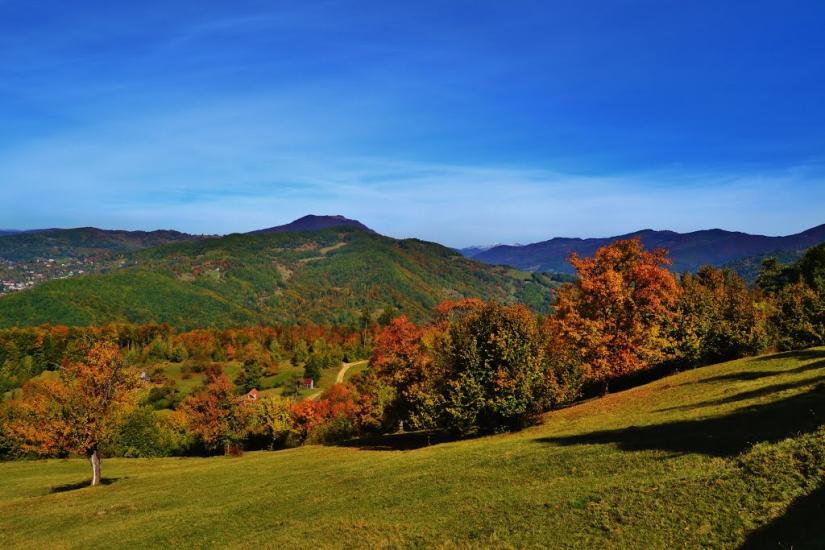 Росішка з panoramio.com - Rosishka
