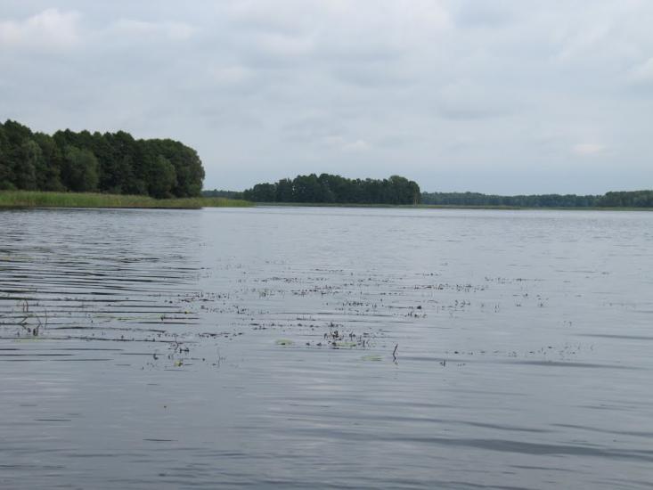 Мельники з panoramio.com - Мельники