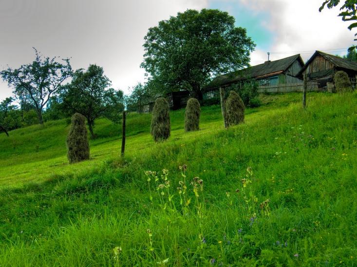 Кваси з panoramio.com - Квасы