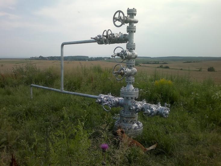 Містковичі з panoramio.com - Містковичі