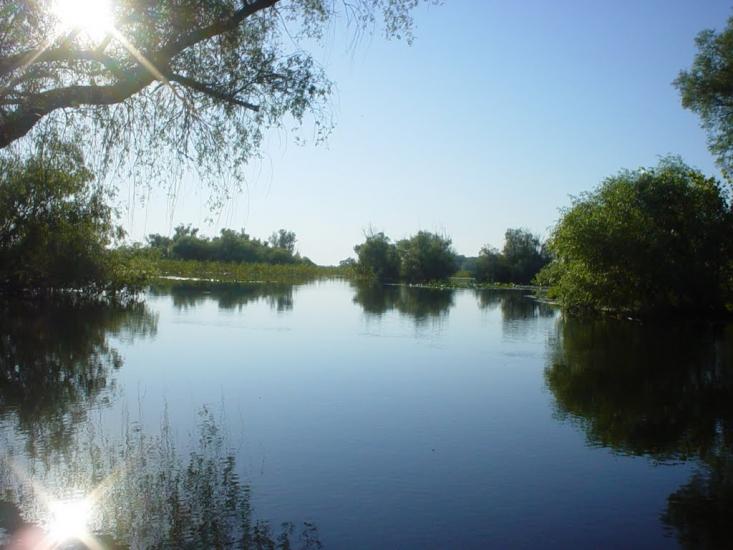 Дунайське з panoramio.com (ч.2) - Дунайське