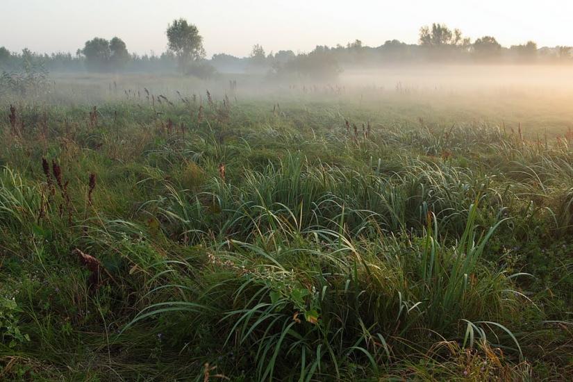 Дергачі з panoramio.com - Дергачи