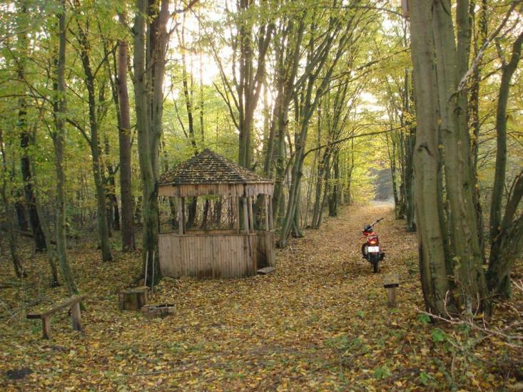 Хрипськ з panoramio.com - Хрипск