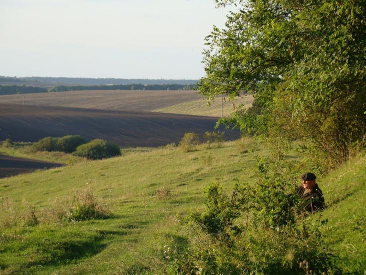 Безіменне з panoramio.com - Bezimenne
